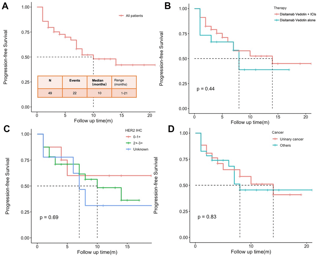 Progression-free survival (PFS) of all patients (A), patients treated with Disitamab Vedotin combined with ICIs and Disitamab Vedotin alone (B), patients with different expression levels of HER2 (C), and patients with urinary cancer and other types of cancer (D).