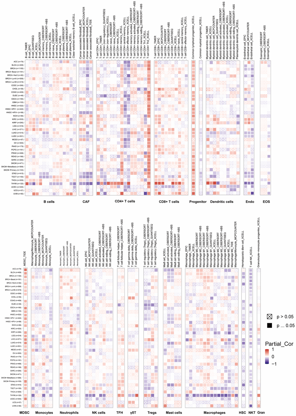 TIMER immune cell infiltration analyses. VRK1 expression correlates with the degree of infiltration of CD8+ T cells, CD4+ T cells, regulatory T cells (Tregs), B cells, monocytes, macrophages, NK cells, dendritic cells, mast cells, CAFs, progenitors, Endo, Eos, HSCs, TFH cells, dT cells, NKT cells, MDSCs, and neutrophils in malignancies. A positive correlation is shown in red, while a negative correlation is in blue.