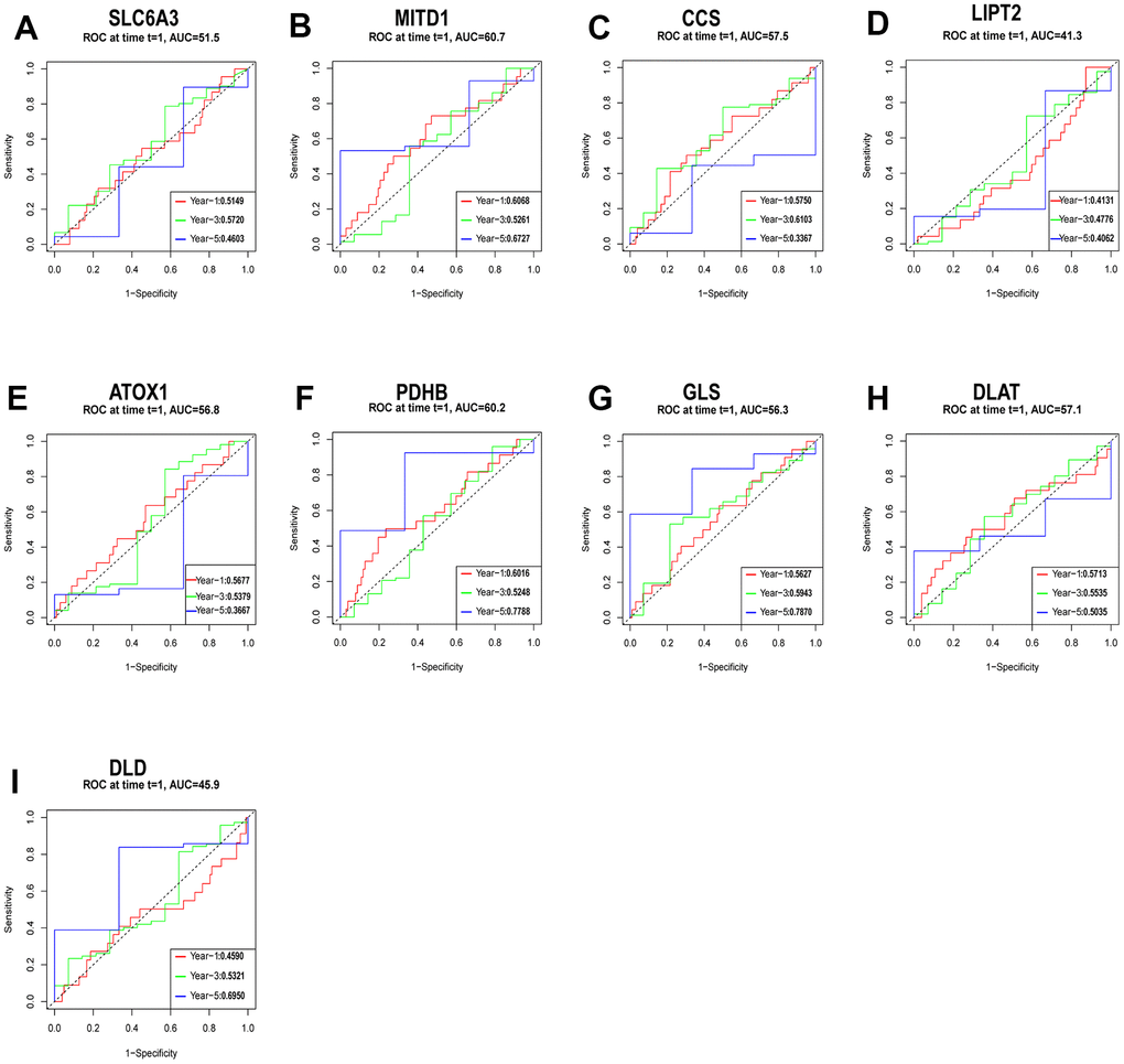 Evaluation of the independent prognostic value of gene expression using timeROC curves for 1-, 3-, and 5-year overall survival (OS) predictions of SLC6A3 (A), MITD1 (B), CCS (C), LIPT2 (D), ATOX1 (E), PDHB (F), GLS (G), DLAT (H), and DLD (I) through the nomogram in the TCGA cohort.