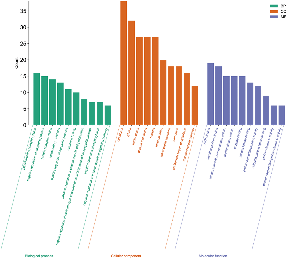Gene Ontology enrichment analysis of the potential targets of Aloin A against cancer related muscle atrophy. Top 10 biological process (BP) terms, cellular component (CC) terms, and molecular function (MF) terms are shown as green, orange, and purple bars, respectively.