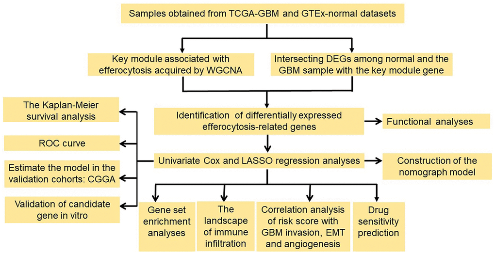 Flowchart of the study. Abbreviations: WGCNA: weighted gene co-expression network analysis; DEGs: differentially expressed genes; ROC: the receiver operating characteristic; LASSO: the least absolute shrinkage and selection operator.