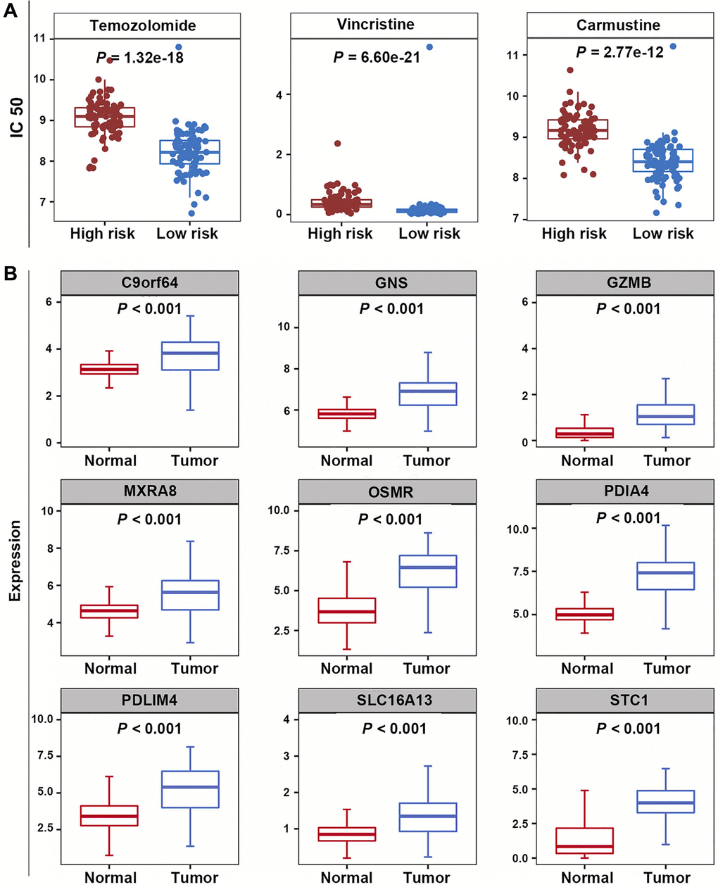 Correlation analysis of prognostic model and chemotherapeutic sensitivity, as well as expression analysis of PRGs. (A) The IC50 values for temozolomide, carmustine, and vincristine in the high-risk and low-risk groups. (B) The expression levels of nine PRGs.