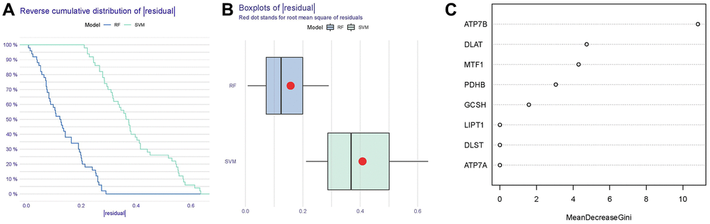 Establishment of the RF and SVM models. (A) Reverse cumulative distribution of residual was constructed to display the residual distribution of RF and SVM models. (B) Boxplots of residual were constructed to display the residual distribution of RF and SVM models. (C) The importance of the 8 cuproptosis modulators on the basis of the RF model.