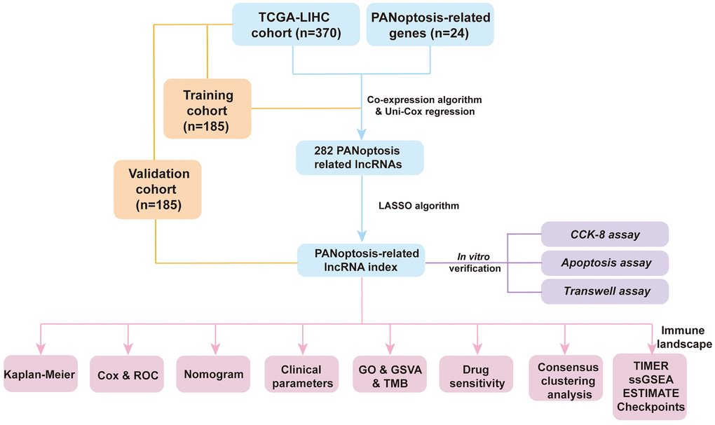 Flowchart of the present research.