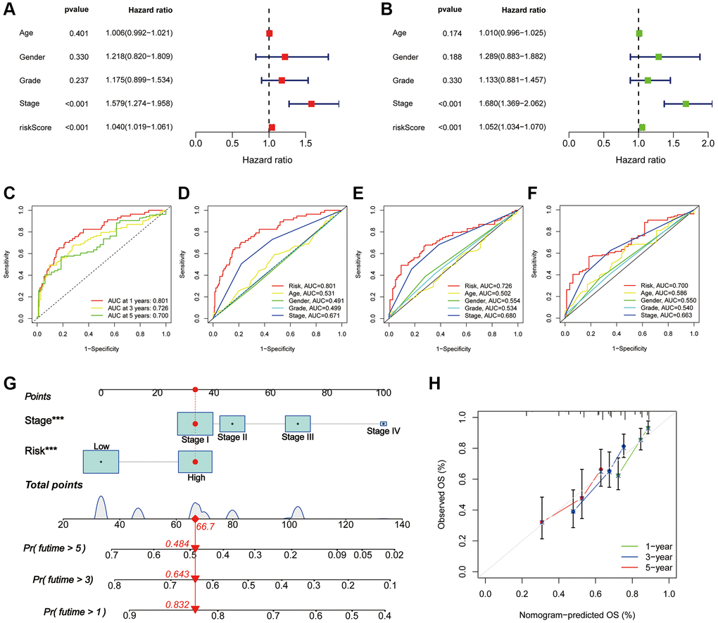 Assessment of the PANRI in hepatocellular carcinoma. (A, B) Risk forest plots for multivariate and univariate Cox regression. (C) ROC curves of the 1-, 3- and 5-year survival in the TCGA cohort. (D–F) Comparison of risk score ROC curves with clinicopathological parameter ROC curves. (G) Tumour stage and risk status were used to construct a nomogram for predicting patient survival. (H) Calibration curves for the nomogram. *p **p ***p 