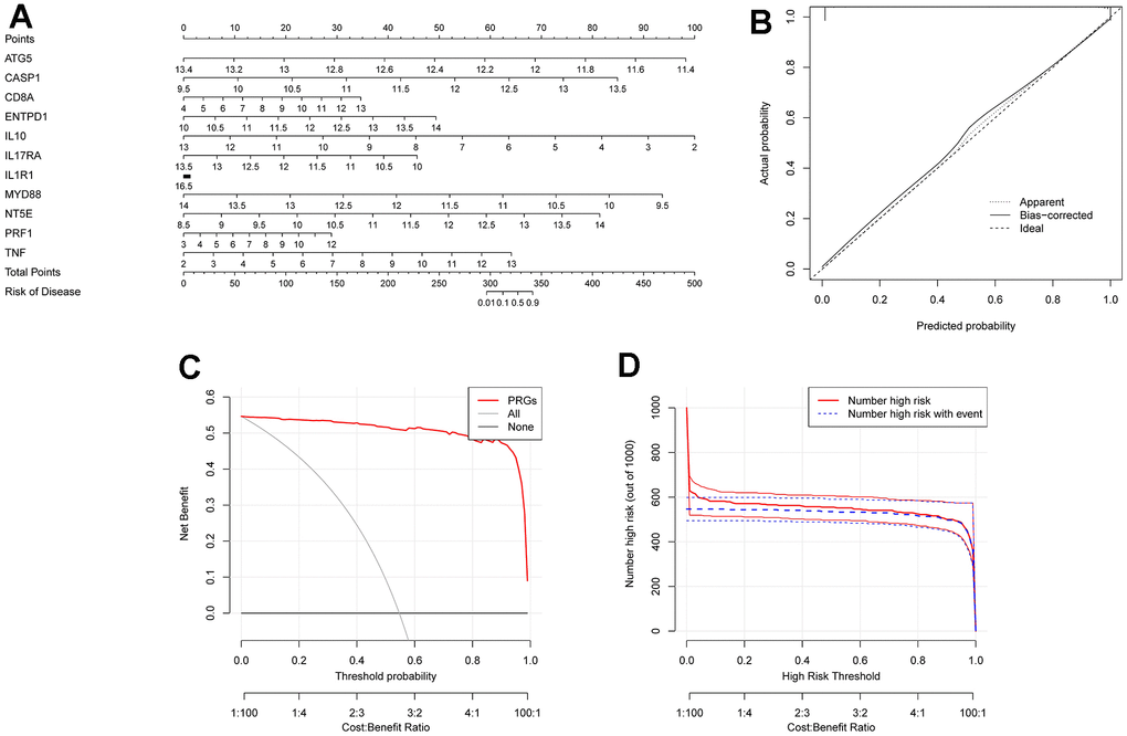 Construction of column diagram model. (A) is a nomogram model constructed on selected diagnostically-relevant genes (ATG5, CASP1, CD8A, ENTPD1, IL1R1, IL10, IL17RA, MYD88, NT5E, PRF1, and TNF). (B) is the calibration curve used to evaluate the diagnostic capability of the nomogram model. (C) is based on DCA, and the Nomogram model had higher clinical utility than a single diagnostically-relevant gene. (D) is the clinical impact curve.