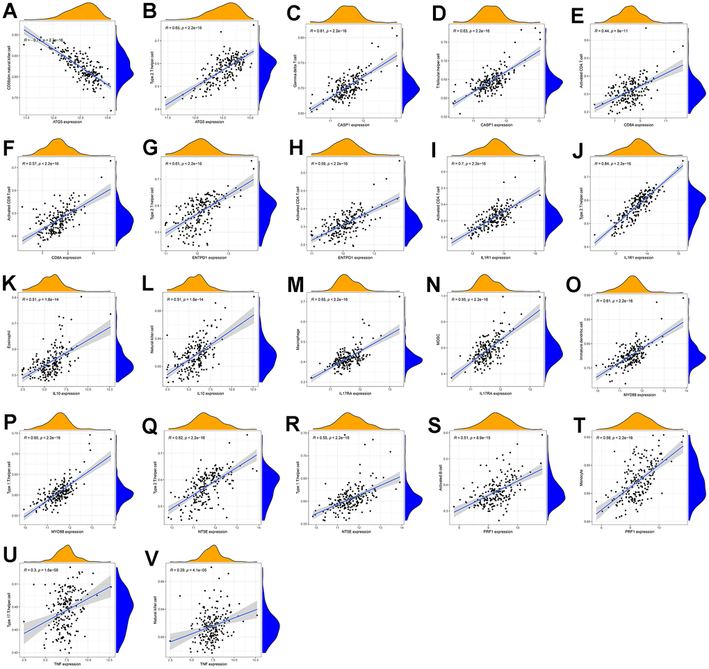 (A–V) are scatter plots of immune cell/function and diagnostic gene correlations, respectively.