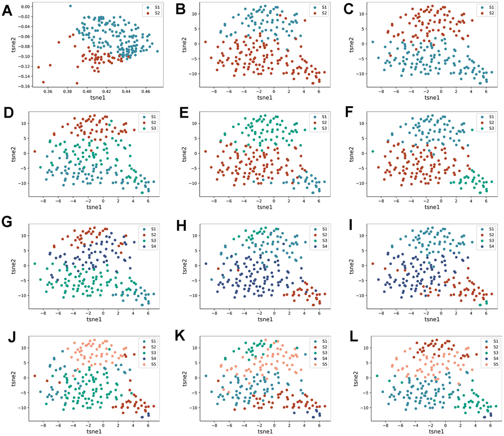 Identification process of HF subtypes. (A–C) are the tsne dimensionality reduction scatter plot obtained by AE, DAE, and K-means algorithms when the number of clusters is set to two categories, respectively. (D–F) are the tsne dimension reduction scatter plot obtained by three algorithms when the number of clusters is set to three categories, respectively. (G–I) are the tsne dimension reduction scatter plot obtained by three algorithms when the number of clusters is set to four categories, respectively. (J–L) are the tsne dimension reduction scatter plot obtained by three algorithms when the number of clusters is set to five categories, respectively.