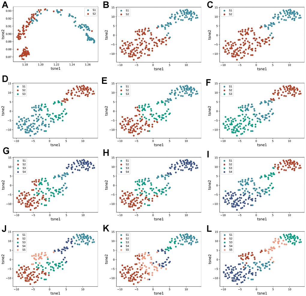 Re-identification of HF subtypes based on DEGs. (A–C) are the tsne dimensionality reduction scatter plot obtained by AE, DAE, and K-means algorithms when the number of clusters is set to two categories, respectively. (D–F) are the tsne dimension reduction scatter plot obtained by three algorithms when the number of clusters is set to three categories. (G–I) are the tsne dimension reduction scatter plot obtained by three algorithms when the number of clusters is set to four categories, respectively. (J–L) are tsne dimension reduction scatter plot obtained by three algorithms when the number of clusters is set to five categories, respectively.