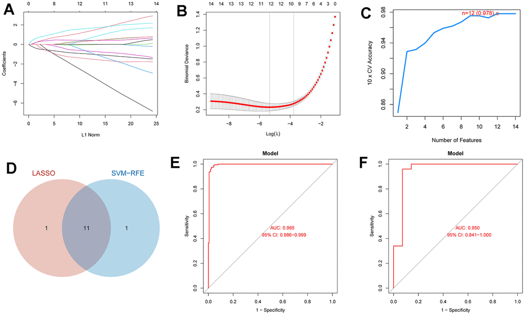 The diagnosis model and ROC analysis of the model based on LASSO and SVM. (A) The relationship curve between l1 norm and coefficient in the Lasso regression of DEICDRGs. (B) The cross-validation result of Lasso regression. (C) The result of using SVM regression to filter features. (D) The Wayne diagram of the intersection of characteristic genes screened by Lasso and SVM. (E, F) are ROC analysis of the diagnosis model in the training set and test set, respectively.