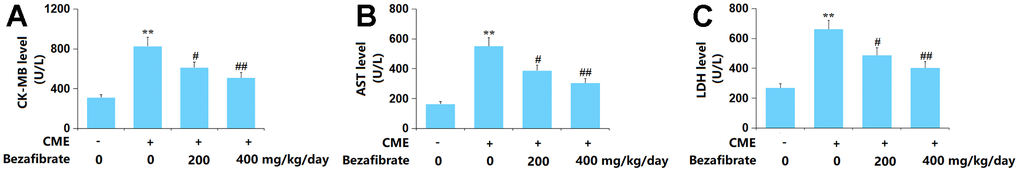 Bezafibrate ameliorated release of the myocardial injury indicators in CME rats. (A) The CK-MB level; (B) The AST level; (C) The LDH level (n=12, **, p#, ##, p