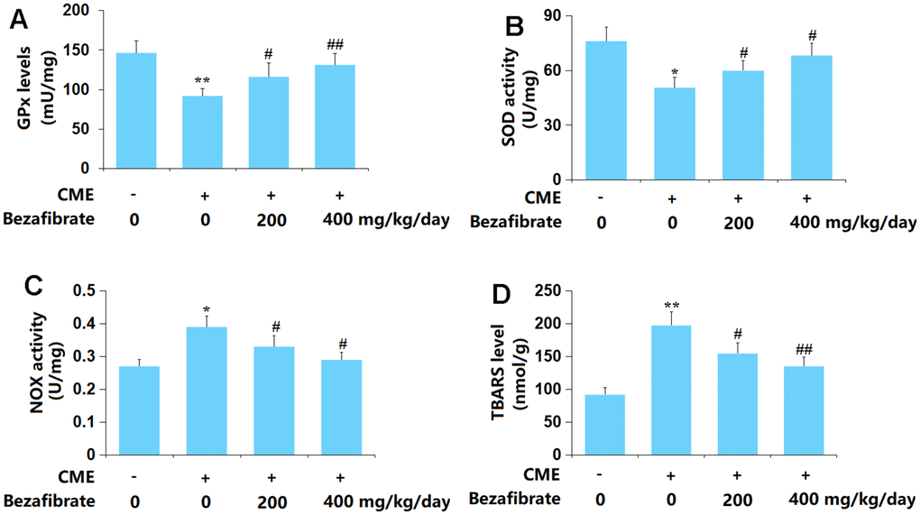 Bezafibrate ameliorated oxidative stress in cardiac tissues of CME rats. (A) GPx levels; (B) SOD activity; (C) TBARS level; (D) NOX activity (n=12, **, p#, ##, p