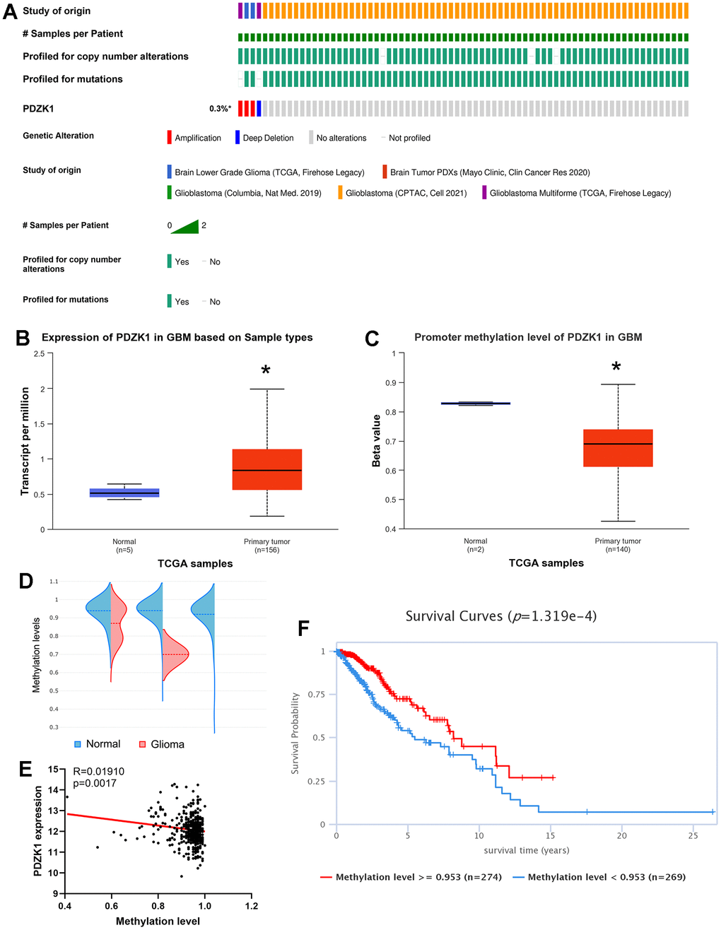 Genetic alterations and DNA methylation levels of PDZK1 in glioma. (A) Summary of the alteration rates of PDZK1 in glioma (cBioPortal). (B, C) DNA methylation changes in PDZK1 in glioma assessed using the UALCAN database. * p D) The methylation levels of the PDZK1 CpG island were analyzed by utilizing the EWAS Data Hub. (E) The relationship between the methylation levels of PDZK1 CpG islands and the expression of PDZK1 mRNA was analyzed by utilizing the EWAS Data Hub. (F) The OS of patients with gliomas stratified by the methylation level of the PDZK1 CpG island was analyzed via the EWAS Data Hub.
