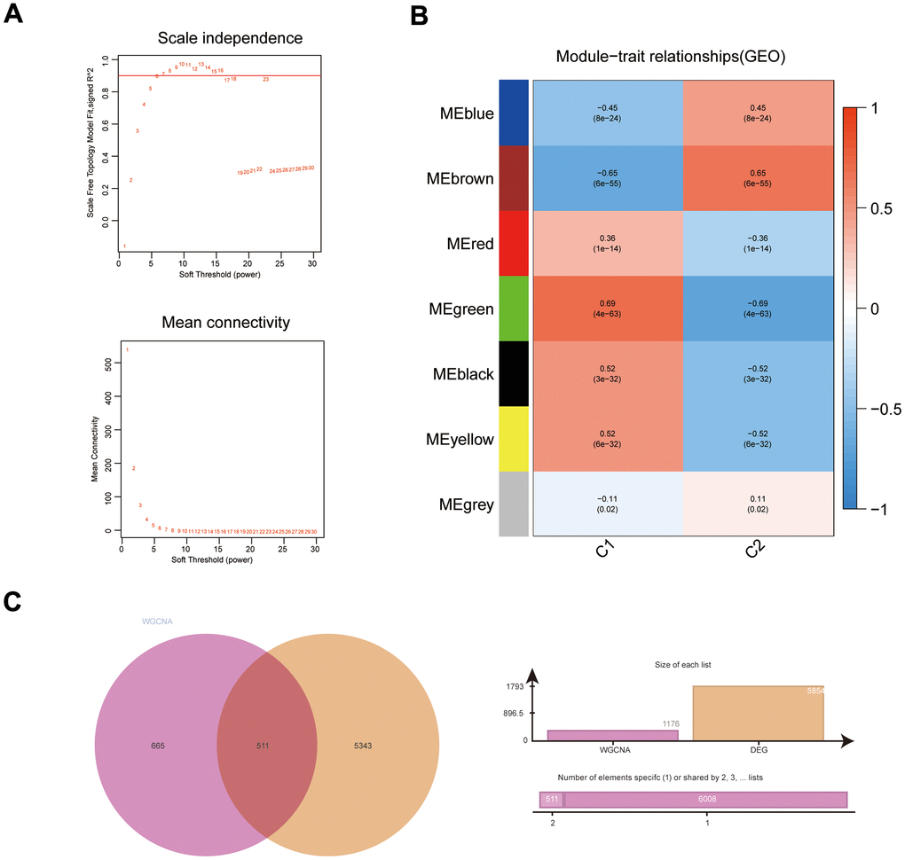 WGCNA results for immune subgroups. (A) Results of screening for soft threshold power; (B) correlation analysis of gene modules with immune subgroups; (C) Venn diagram of gene modules with high correlation to immunophenotyping and DEGs.