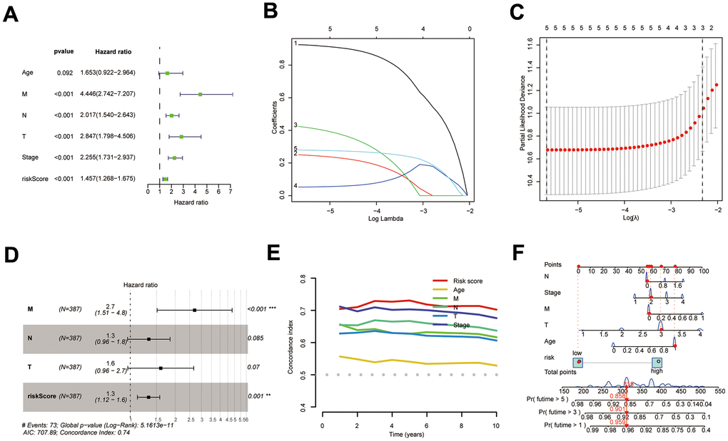 Construction of the COAD nomogram. (A–D) Results of univariate Cox, LASSO, and multi-factor Cox analyses of prognostic models and clinical traits; (E) C-index comparing the predictive efficacy of the prognostic model with that of clinical traits; (F) The COAD nomogram was constructed using prognostic models and clinical traits.
