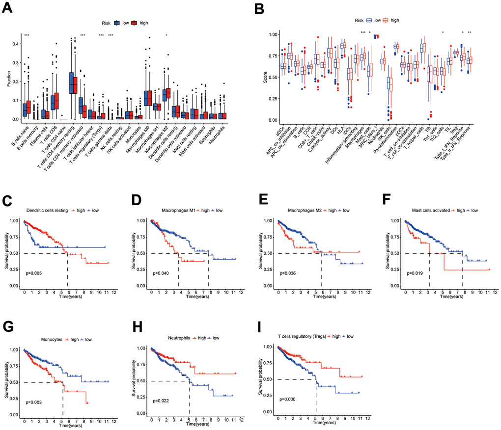 Differences in immune characteristics between subgroups. (A, B) Differences in the proportion of immune cells and Immune cell function scores between high- and low-risk subgroups; (C–I) KM survival curves for the proportion of 7 immune cells in high- and low-risk subgroups.