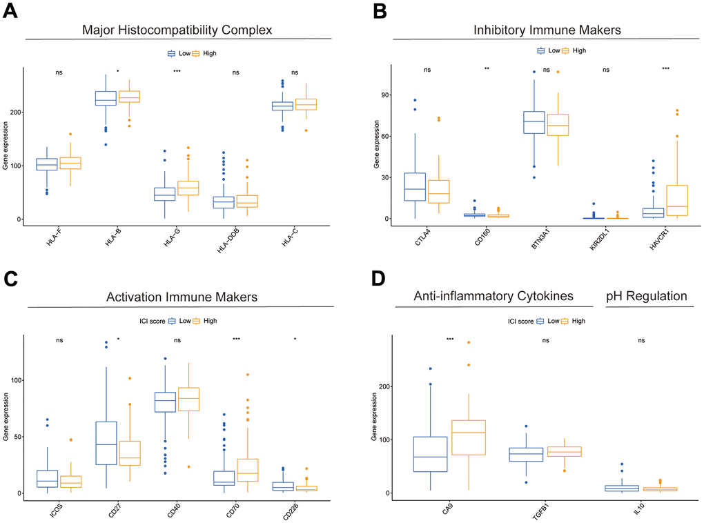 Differences in immune-related markers between subgroups. (A–D) Differences in expression of multiple types of immune marker genes between subgroups.