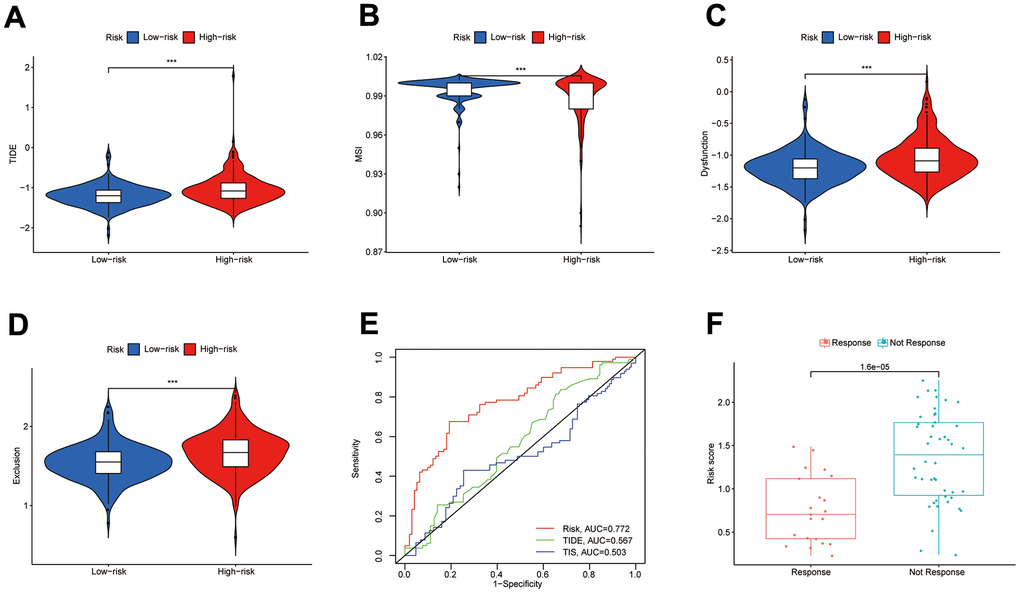 Value of the DPM in predicting immunotherapy outcomes. (A–D) Differences in TIDE, MSI, and T-cell dysfunction and exclusion scores between subgroups; (E) ROC curves comparing prognostic efficacy of prognostic models with those of TIDE and TIS; (F) Differences in risk scores between immune responsive and non-responsive patients (GSE109211 dataset).