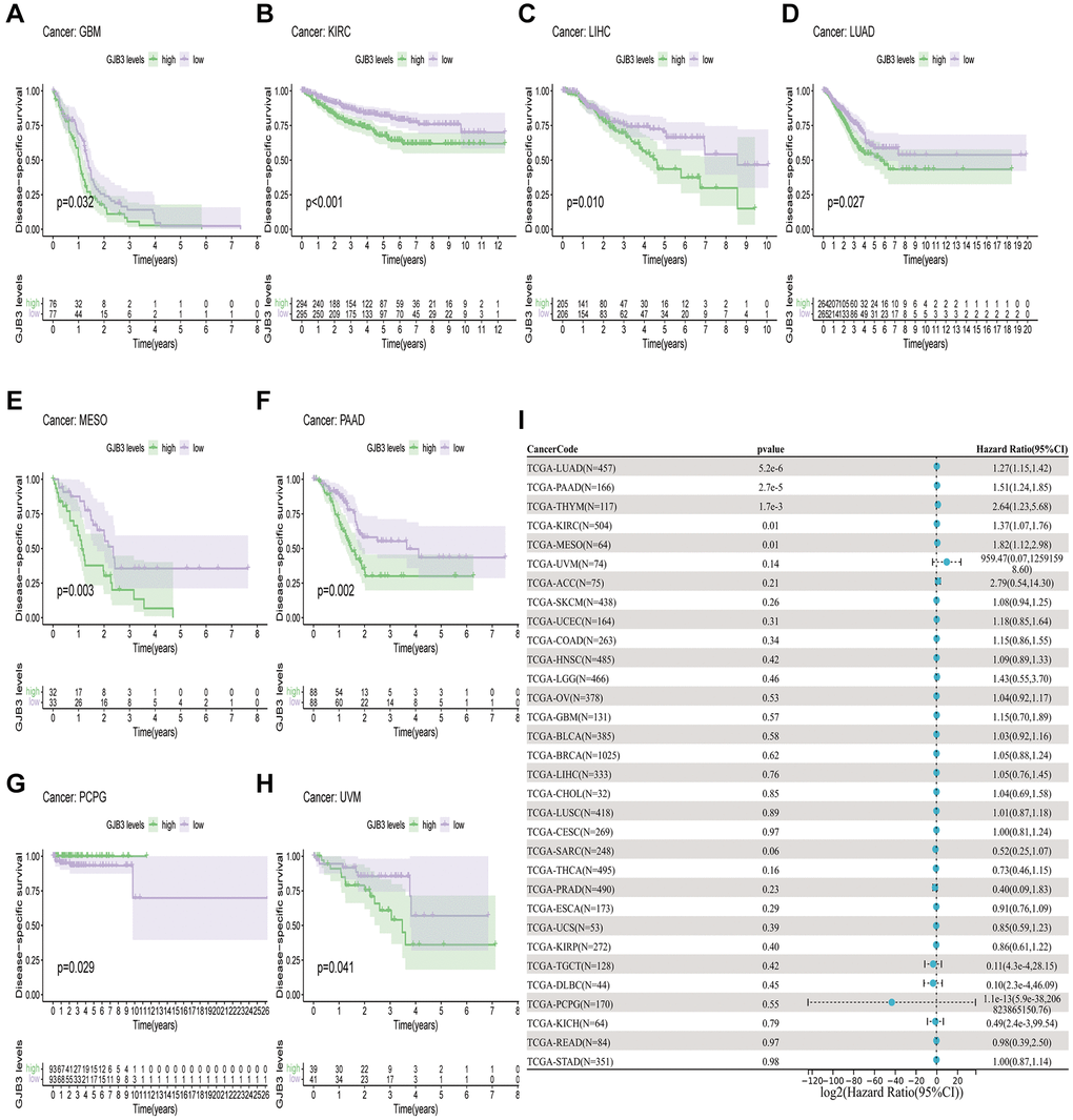 A comparison of DSS prognosis in various types of cancers according to GJB3 expression. (A–H) In the Kaplan-Meier curves, GJB3 expression is correlated with DSS expression. (I) Forest plot demonstrating the association between GJB3 and DSS.