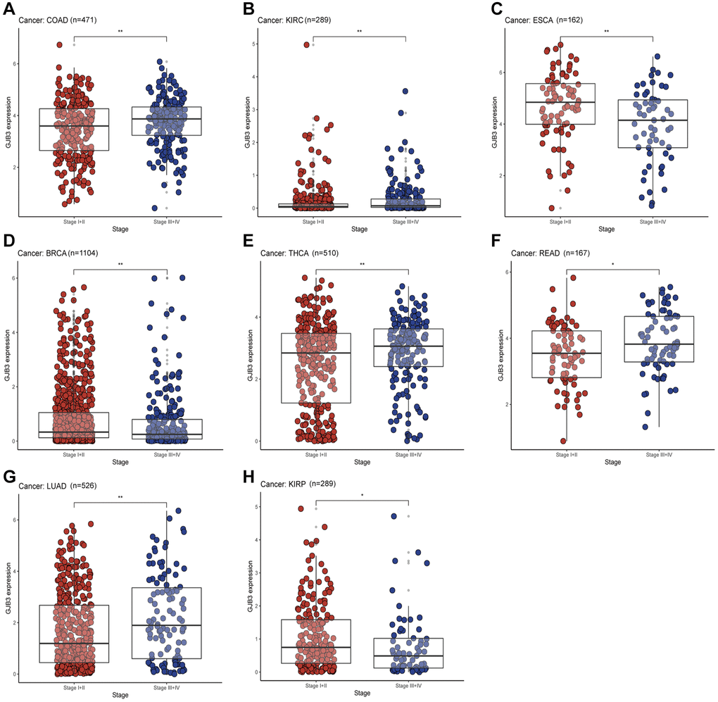 With different cancers, GJB3 expression varies depending on clinical characteristics. (A–H) Analysis of the relationship between GJB3 level and clinicopathological stage in COAD, KIRC, ESCA, BRCA, THCA, READ, LUAD, and KIRP patients. (*P **P ***P ****P 