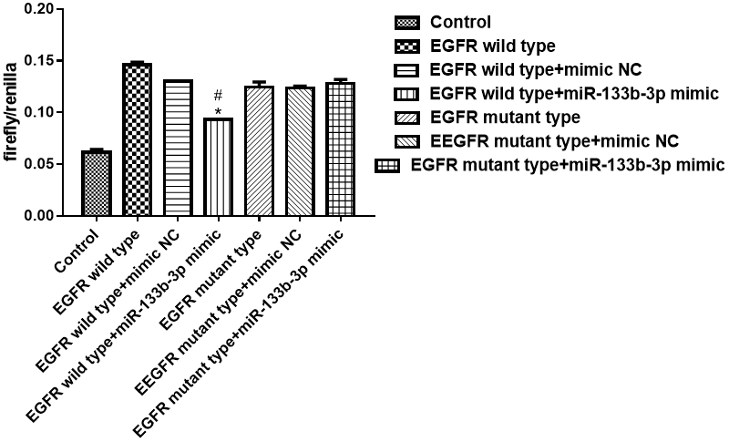 Dual-luciferase validated miR-133b-5p targeted binding target gene EGFR analysis.