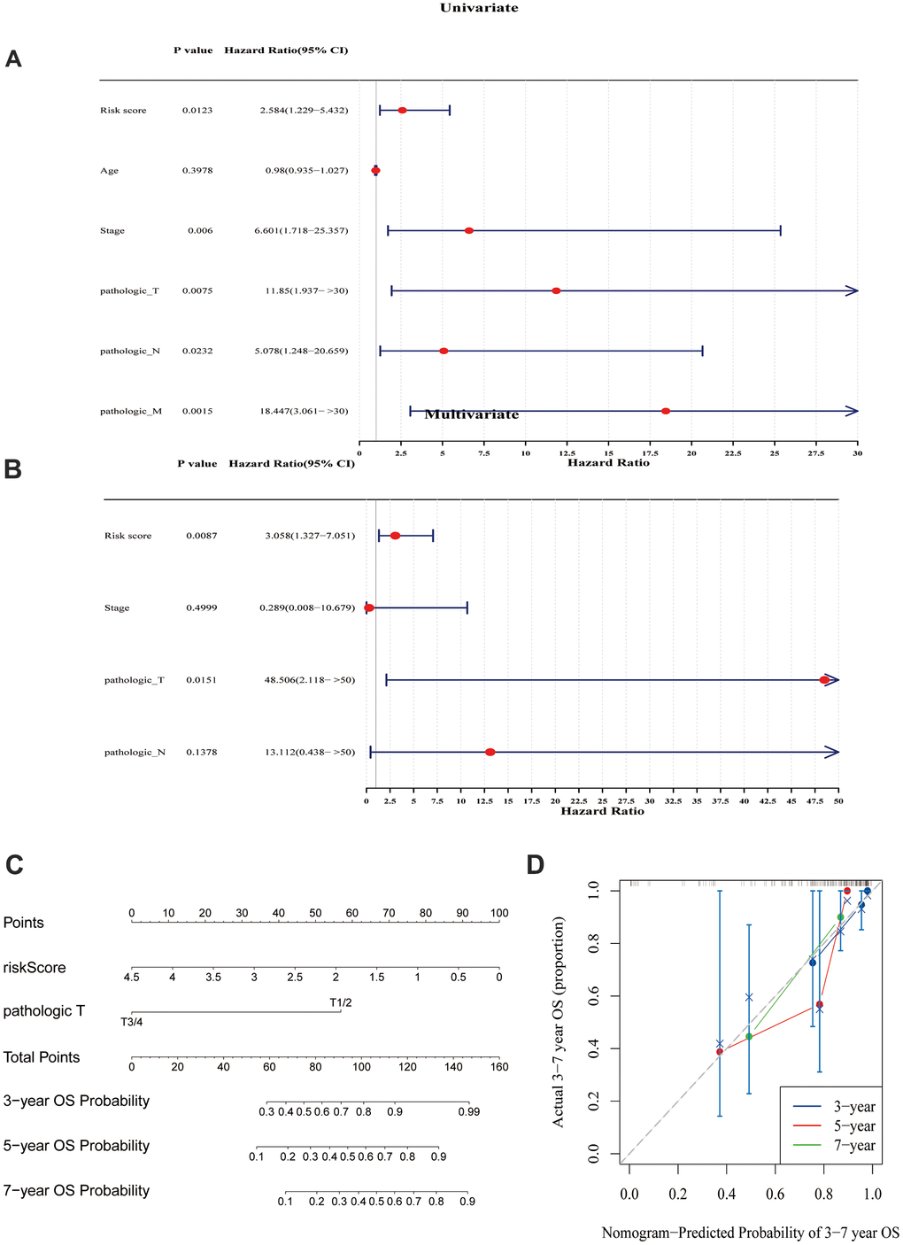 Prognostic model analysis. (A) Univariate Cox regression analysis was performed on the seven variables. (B) A Cox model was constructed using four variables. (C) A model was created and a nomogram was plotted, incorporating the risk scores derived from the multivariate Cox analysis and tumor staging. (D) Calibration curves were used to evaluate the prognostic model. The results suggested that the nomogram may be an effective tool for predicting the survival outcomes of TNBC patients.