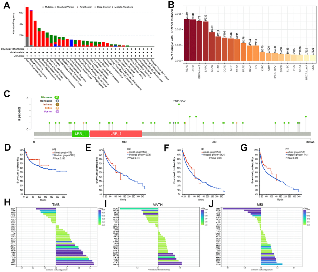 Mutational landscape of LRRC59 in pan-cancer. (A, B) Genetic alterations of LRRC59 in pan-cancer were analyzed in the cBioPortal and TIMER2 databases. (C) Visualization of LRRC59 mutation sites in pan-cancer. (D–G) Analysis of the LRRC59 gene alterations on the prognosis of DFS, DSS, OS and PFS in pan-cancer. (H–J) Correlation analysis of LRRC59 with TMB, MATH and MSI in pan-cancer.
