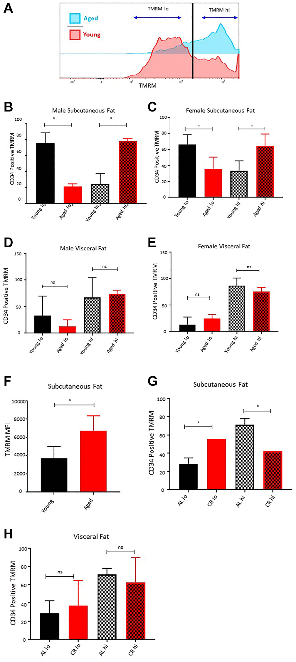 Effect of age on ASCs quiescence. (A) Representative histogram of TMRM staining in subcutaneous ASCs from young and aged mice. (B, C) Percentage of TMRM lo and TMRM hi ASCs in subcutaneous adipose tissue of young and aged male (B) and female (C) mice. (D, E) Percentage of TMRM lo and TMRM hi ASCs in visceral adipose tissue of young and aged male (D) and female (E) mice. (F) Mean fluorescence intensity of TMRM in young and aged ASCs. (G, H) Percentage of TMRM lo and TMRM hi ASCs in subcutaneous (G) and visceral (H) adipose tissue of mice fed on caloric restricted (CR) and ad-libitum (AL) diet. (n = 3–5 mice per group) P-value *, ns = non-significant.