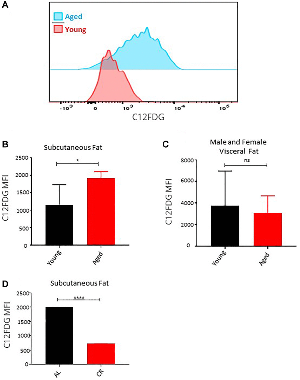 Effect of age on senescence in ASCs. (A) Representative histogram of senescence marker C12FDG fluorescence among ASCs from young and aged mice. (B, C) The mean fluorescence intensity distribution of C12FDG in subcutaneous (B) and visceral (C) ASCs from young and aged mice. Graphs are representative of eight mice per group and ASCs from two mice were pooled together to achieve 5000 events count. (D) The mean fluorescence intensity distribution of C12FDG in subcutaneous ASCs from mice fed on caloric restricted and ad-libitum diet. (n= 3–5 mice per group) P value *, ****, ns = non-significant.