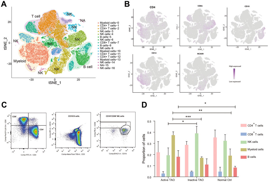 Single-cell profiling of blood immune microenvironment in TAO patients. (A) A total of 5 main PBMC cell types were identified in PBMC by automated annotation using SingleR software. Color scheme denoting clusters was labeled with inferred cell types. (B) The t-SNE feature plots showed expression of marker genes of the five cell types. (C) FACS plots validated that CD4+ T cells, CD8+ T cells, B cells, and NK cells were present in the peripheral blood. Blood sample from one normal control was used for analysis. (D) Bar plots showing the percentage of five PBMC cell types from TAO patients and NCs. Error bars show SEM (* ppp
