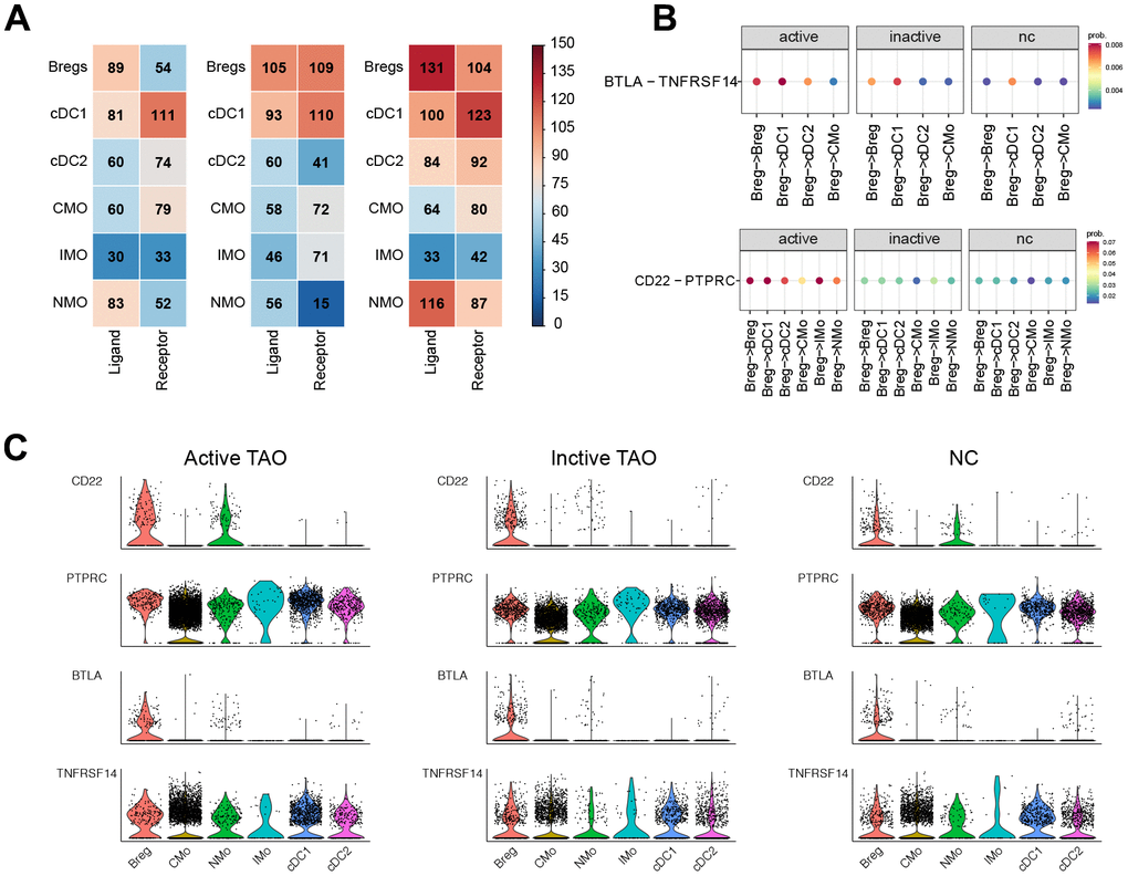 CellChat analysis based on scRNA-seq showed the crosstalk between Bregs and myeloid cells in the immune network. (A) Heatmap showed the distribution of interaction pairs across the cell types. (B) Chord plots showed the interactions of ligand/receptor pairs between active TAO, inactive TAO, and NC group. (C) Violin plots showed the expression levels of LTA and TNF family cytokines in each immune cell type for both TAO and HC groups.