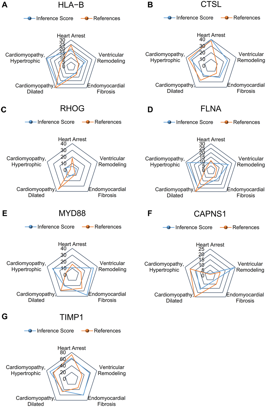 Relationship to ventricular remodeling related to significant hub genes, based on the CTD. (A) HLA-B, (B) CTSL, (C) RHOG, (D) FLNA, (E) MYD88, (F) CAPNS1, and (G) TIMP1.
