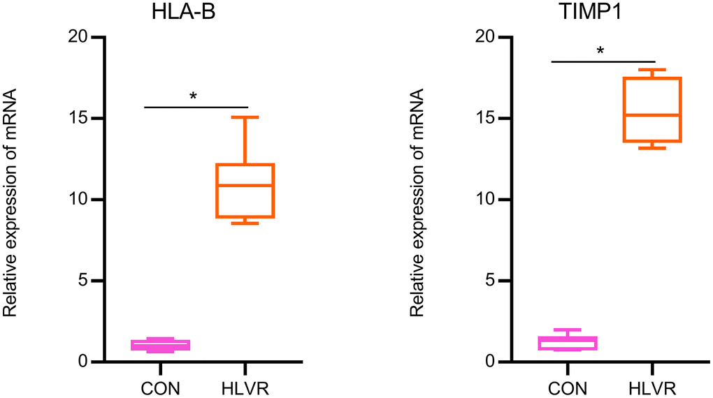 The relative expression of HLA-B and TIMP1 by RT-qPCR analysis. *P