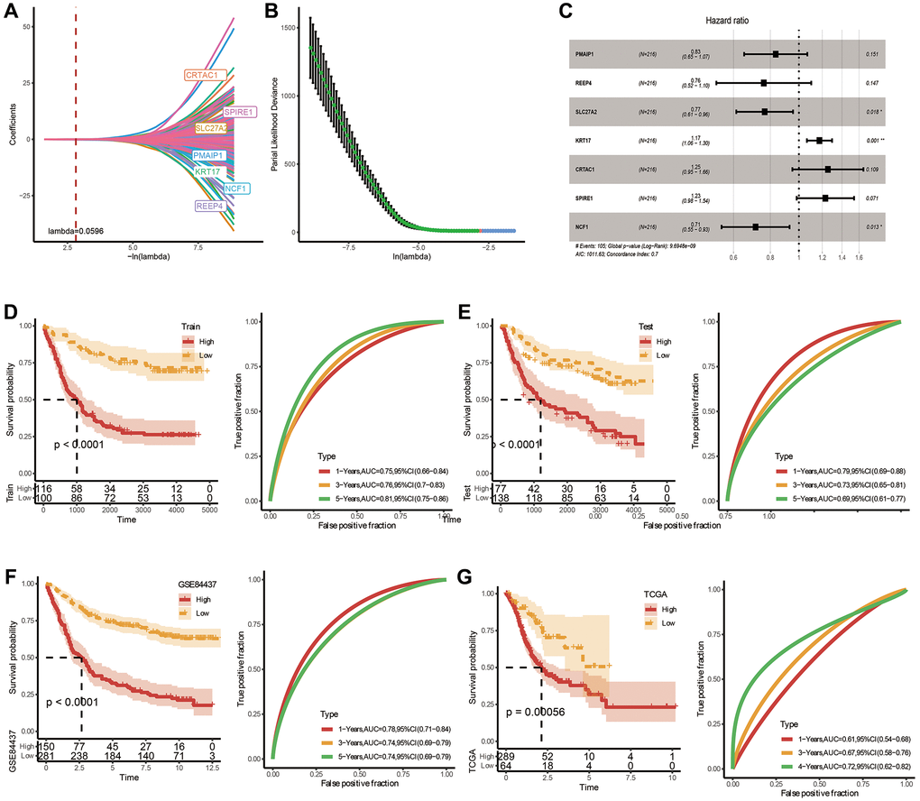 Construction and validation of a prognostic risk signature in TCGA-STAD based on hub FAM-related genes. (A) Lambda trajectory of differentially expressed genes. (B) Confidence interval under lambda. (C) Forest map of FAM-related hub genes. (D) ROC and K-M survival analysis of riskscore in GSE84437-train dataset. (E) ROC and K-M survival analysis of riskscore in GSE84437-test dataset. (F) ROC and K-M survival analysis of riskscore in TCGA dataset. (G) ROC and K-M survival analysis of riskscore in GSE84437 dataset.