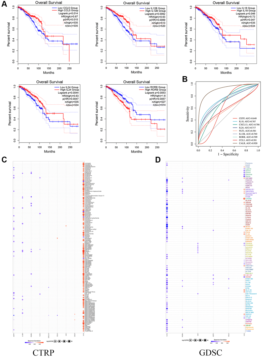 The Functional effects of prognostic genes. (A) Kaplan-Meier curves show the survival of single gene OS in prognostic model. (B) The ROC analysis of model gene. (C, D) The CTRP and CDSC databases show potential targets for prognostic genes.