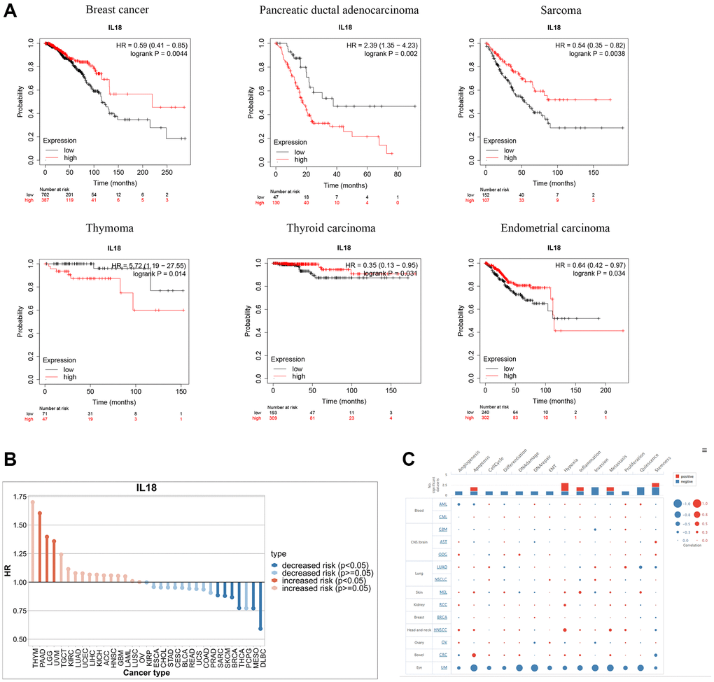 Functional enrichment analysis of IL18 in Pan-cancer. (A) Kaplan-Meier curves show the OS survival of IL18 in Pan-cancer. (B) The difference in prognostic risk for IL18 in Pan-cancer. (C) The bubble map reveals the biological enrichment of IL18 in Pan-cancer.