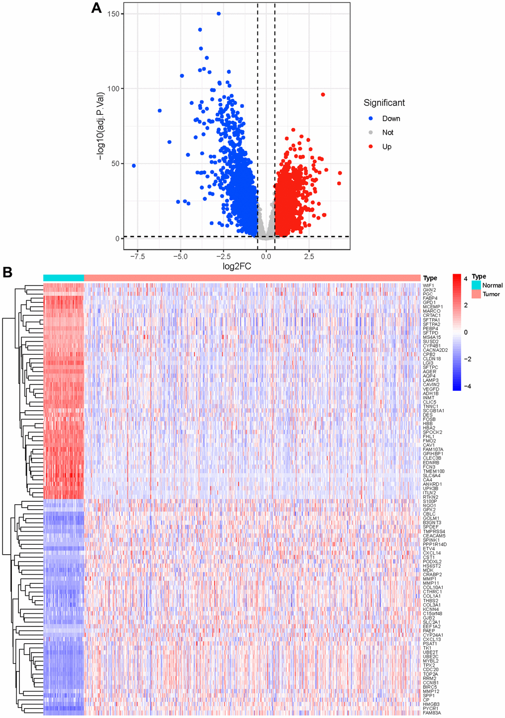 Identification of differential genes. (A) The red dots in the plot represent up-regulated genes and blue dots represent down-regulated genes with statistical significance. Gray dots represent no DEGs; (B) The heatmap of top 50 up-regulated and top 50 down-regulated genes in tumor and normal tissue.
