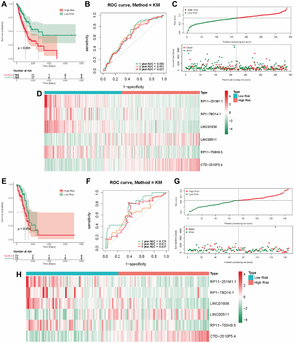 The methyltransferase-related IncRNAs signature was a prognostic biomarker for OS in the TCGA-LUAD cohort. (A) K-M survival of OS according to methyltransferase-related IncRNA signature groups in the training cohorts; (B) AUC of time-dependent ROC curve for the risk score in the training dataset; (C) The OS status and OS risk score plots in the training dataset; (D) The heat map of these 6 methyltransferase-related lncRNAs between the high- and low-risk groups in the training dataset; (E) K-M survival of OS according to methyltransferase-related IncRNA signature groups in the test cohorts; (F) AUC of time-dependent ROC curve for the risk score in the test dataset; (G) The OS status and OS risk score plots in the test dataset; (H) The heat map of these 6 methyltransferase-related lncRNAs between the high- and low-risk groups in the test dataset.
