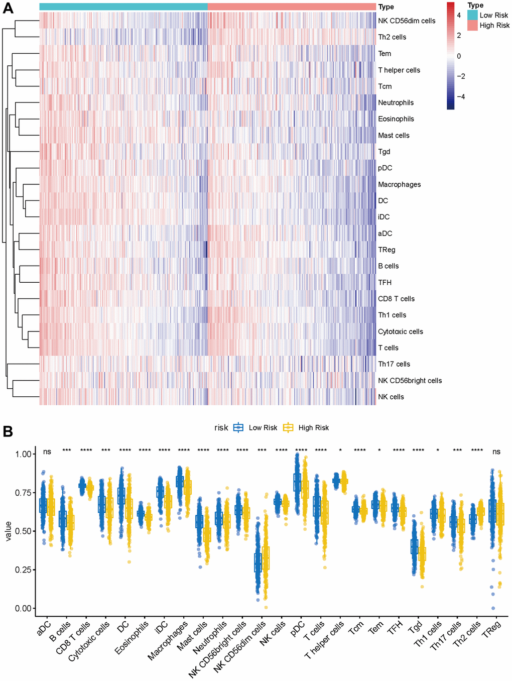 Immune characteristics of methyltransferase-related lncRNAs-based classifier subgroups. (A) The heatmap of immune infiltrating cells between the high- and low-risk groups; (B) The proportions of 24 infiltrated immune cells and infiltration score in the high-and low-risk groups. *P ***P ****P 