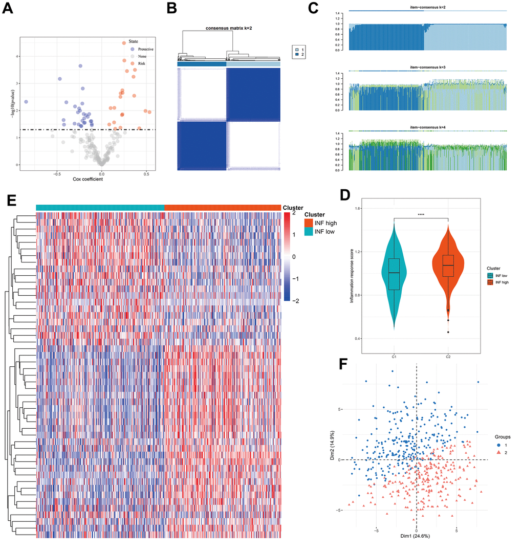Identification of two inflammation subtypes in LUAD. (A) Volcano plot of prognosis-related inflammation genes identified by univariate Cox regression analysis. (B) Consensus clustering matrix for k = 2. (C) Consensus of the items (k = 2–4) in each cluster. (D) Violin plots indicating the differences between the 2 subtypes. (E) Heatmap of 49 inflammation response gene expression in different subgroups; red represents high and blue represents low expression levels. (F) Principal component analysis plots. ****P 
