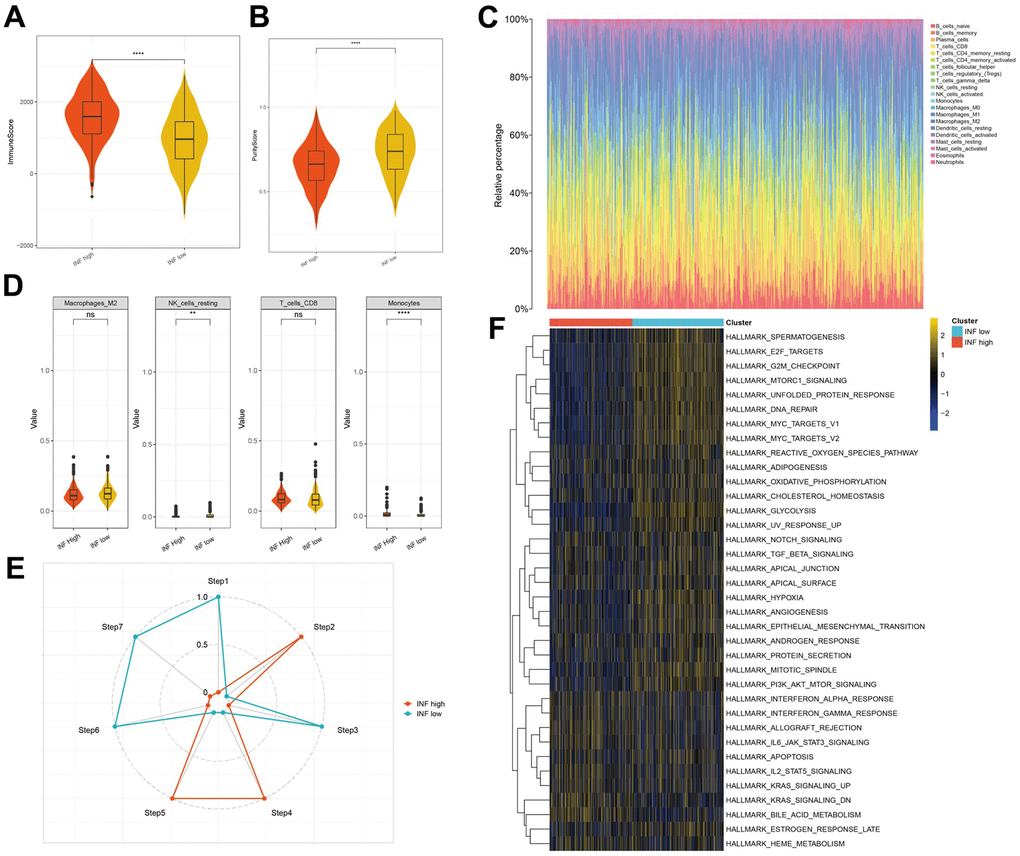 The distinct TME features and anticancer immune activities of the two subtypes. (A, B) Violin plots showing the immune score and tumor purity score of each subtype. (C, D) Immune infiltration in TCGA-LUAD samples. (E) Anticancer immune activity of the seven-step cancer-immunity cycle. (F) Heatmap of the 36 hallmark pathways differentially enriched between different inflammation subtypes identified by GSVA.