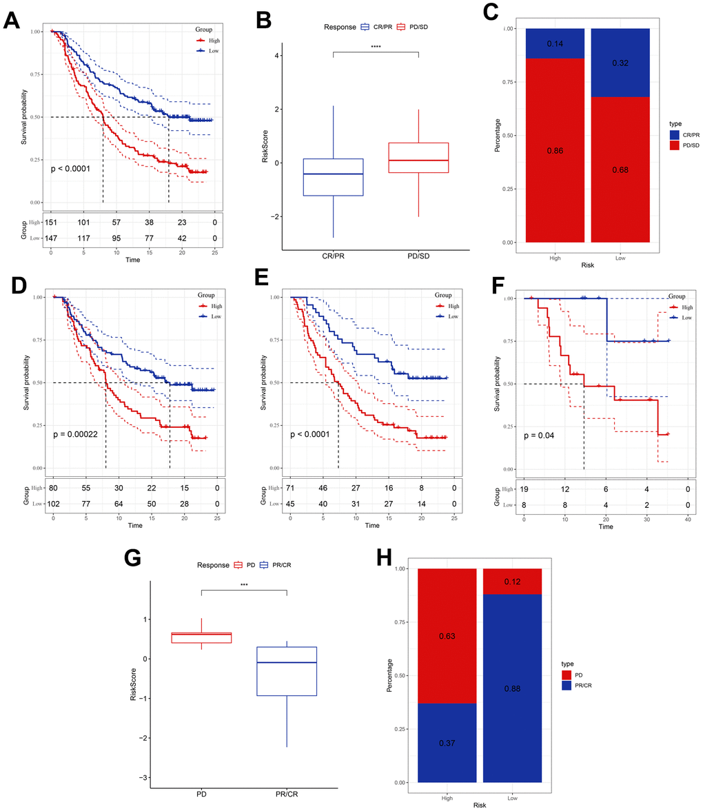Responsiveness of risk score to PD-L1 blockade immunotherapy in the IMvigor210 and GSE78220 cohorts. (A) Prognostic difference among the risk score groups in the IMvigor210 cohort. (B) Differences in risk scores among immunotherapy responses in the IMvigor210 cohort. (C) Distribution of immunotherapy responses among the risk score groups in the IMvigor210 cohort. (D, E) Prognostic difference between the risk score groups in patients with early or advanced stage disease in the IMvigor210 cohort. (F) Prognostic difference among the risk score groups in the GSE78220 cohort. (G) Differences in risk scores among immunotherapy responses in the GSE78220 cohort. (H) Distribution of immunotherapy responses among the risk score groups in the GSE78220 cohort. ***P 