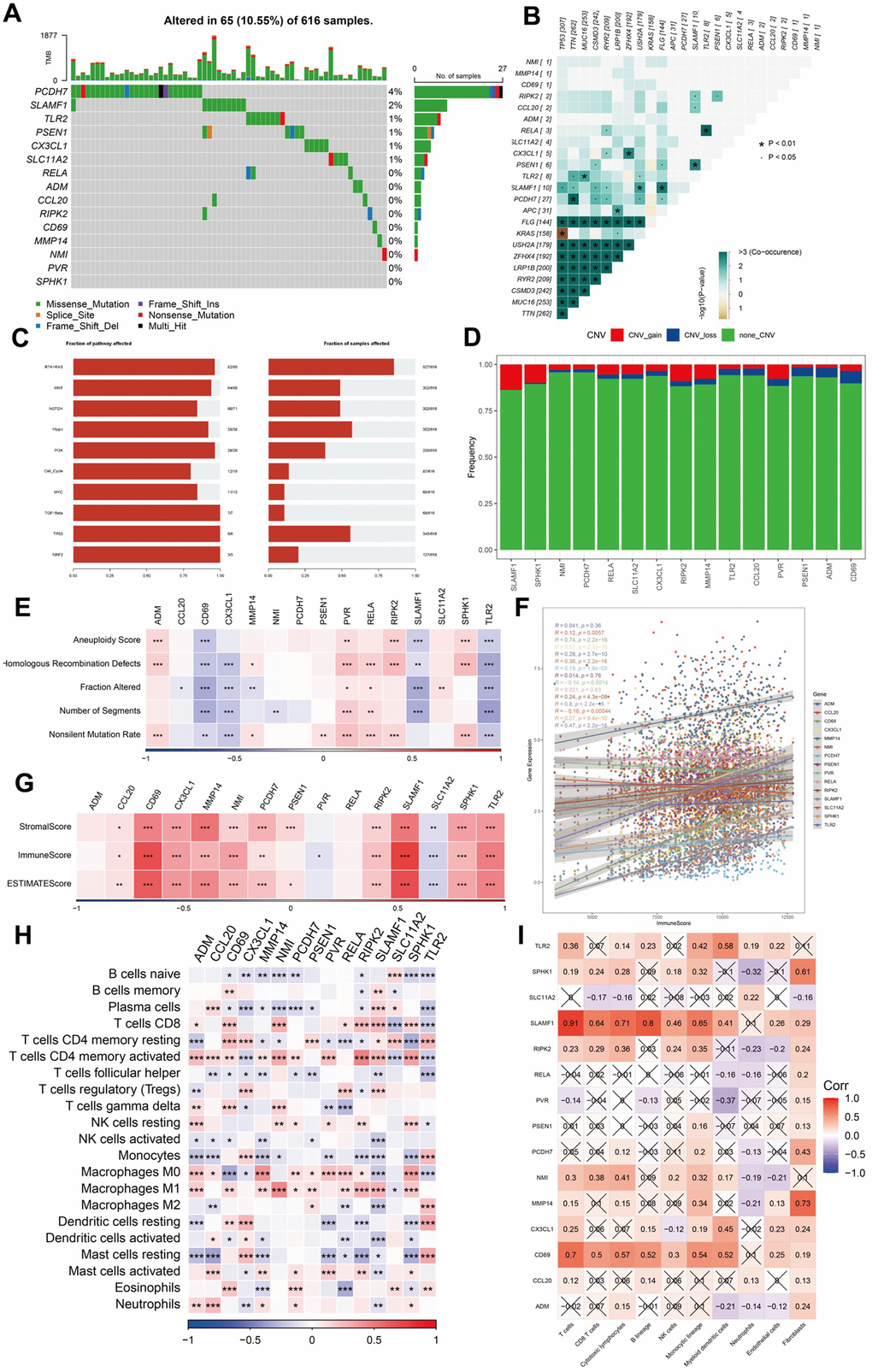 Analysis of mutation, immunity, and hub gene pathways. (A–E) The correlation between the mutation status and hub genes. (F–I) The features of immune cells and immune score based on the 15 hub genes. ***P 