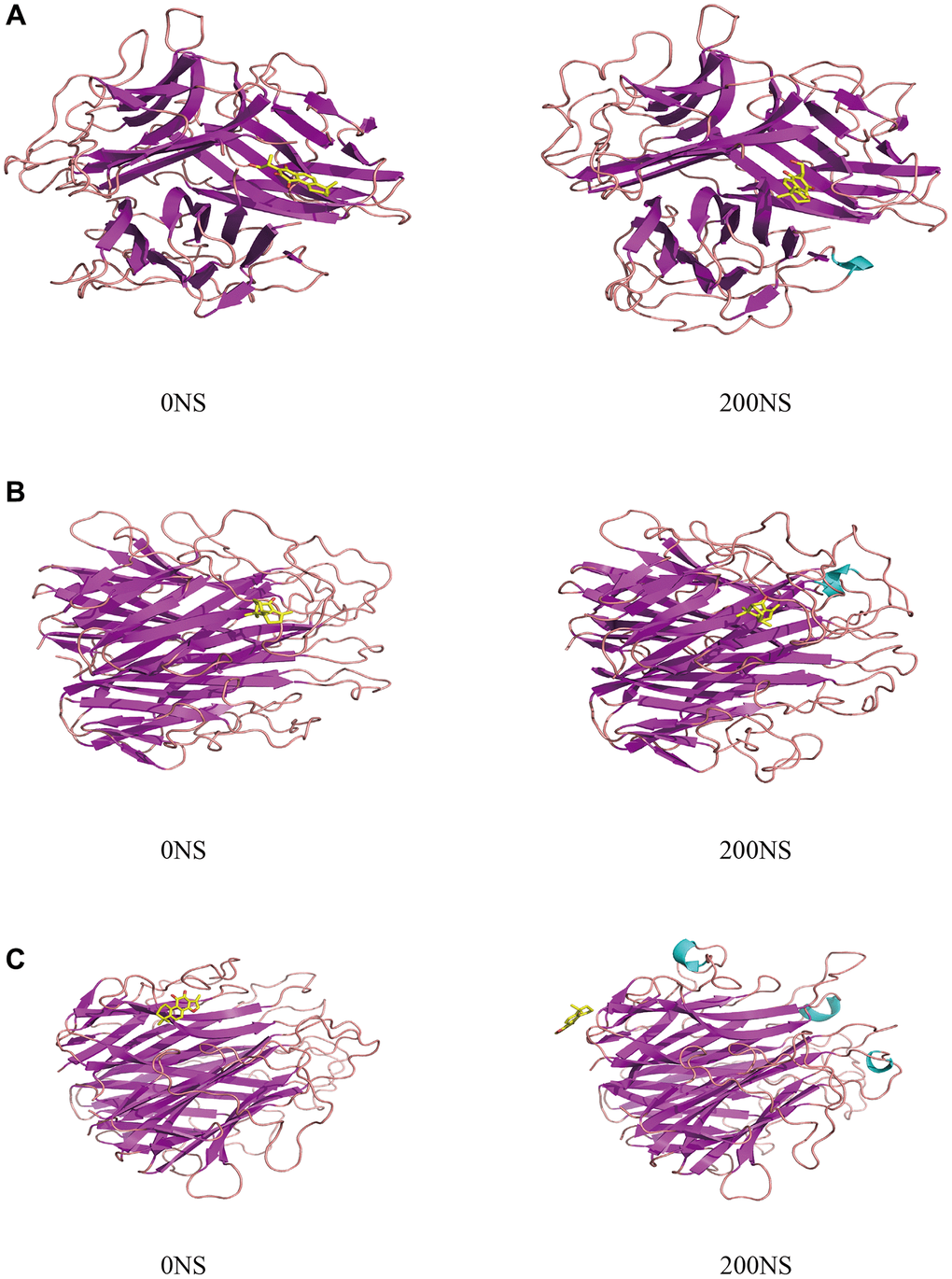 The protein conformational changes results. (A) TNF-Neocryptotanshinone II; (B) TNF-Patchoulenone; (C) TNF-Tanshinone IIA.