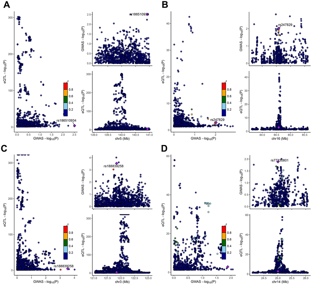 Co-localization analysis between SNPs of key genes and GWAS data from COPD patients. The genes represented from (A–D) were CD14, COTL1, CSTA, and GZMH, respectively. The X-axis indicated the P-value of GWAS, and the Y-axis indicated the P-value of eqtl.