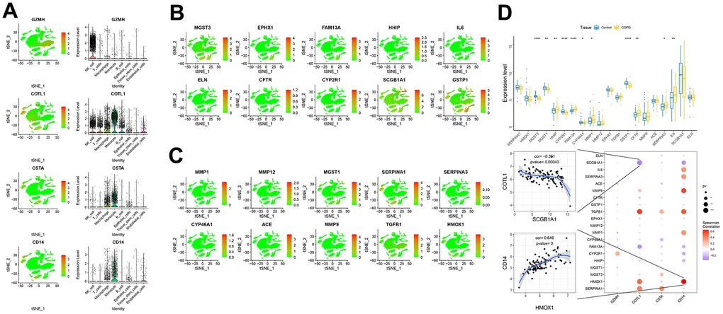 Expression of key genes in single cells. (A–C) Expression of key genes and disease-causing genes in cells. (D) The upper panel represented differences in the expression of disease-regulated genes, with control patients in blue and disease patients in yellow. The lower panel represented the pearson correlation analysis between key genes and disease genes. Blue color represents negative correlation and red color represents positive correlation.