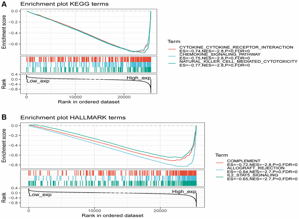 Gene set enrichment analysis of SLAMF8 associated with signaling pathways in KEGG and hallmark datasets. (A) Results of GSEA of SLAMF8 ranked in the top 3 for its association with signaling pathways in KEGG database. (B) Results of GSEA of the top 3 rankings of SLAMF8 correlation with signaling pathways in hallmark dataset.
