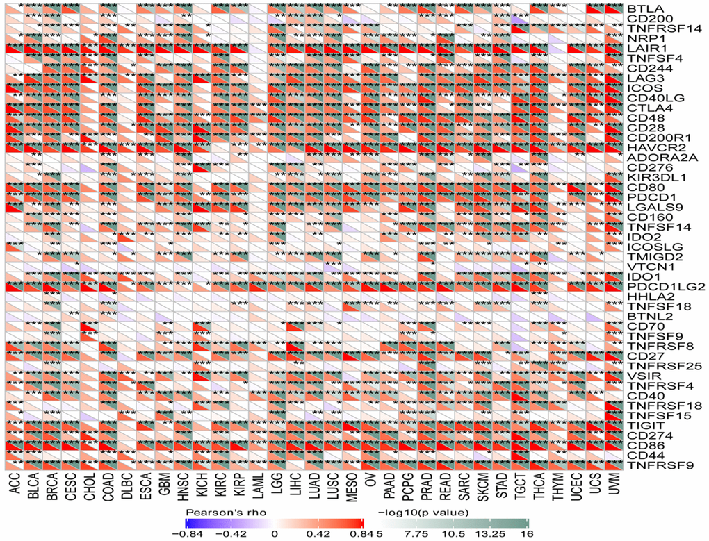 Correlation analysis between SLAMF8 expression and immune checkpoint genes in pan-cancer.