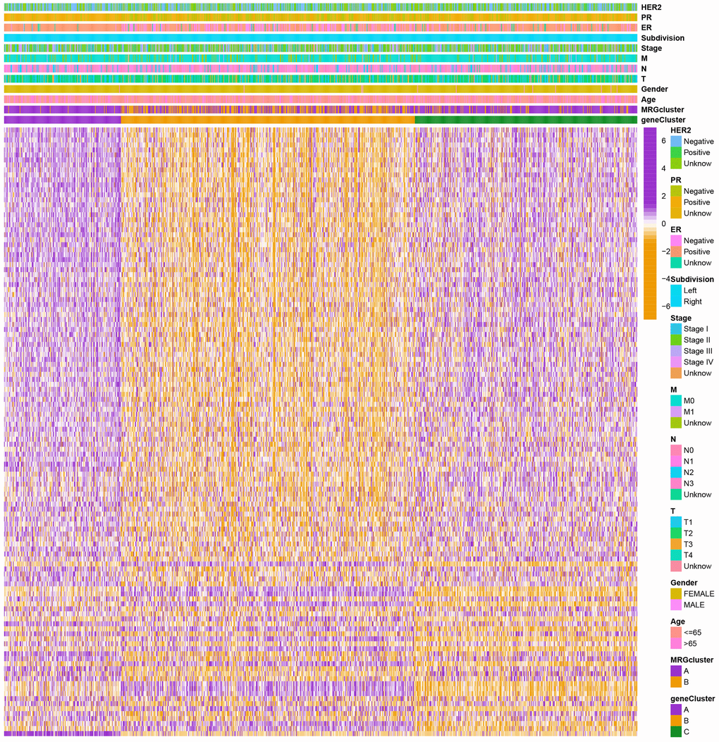 Heatmap of the clinical features and gene expression levels between the three gene clusters. Colors from orange to purple indicate the trend of gene expression levels from low to high.