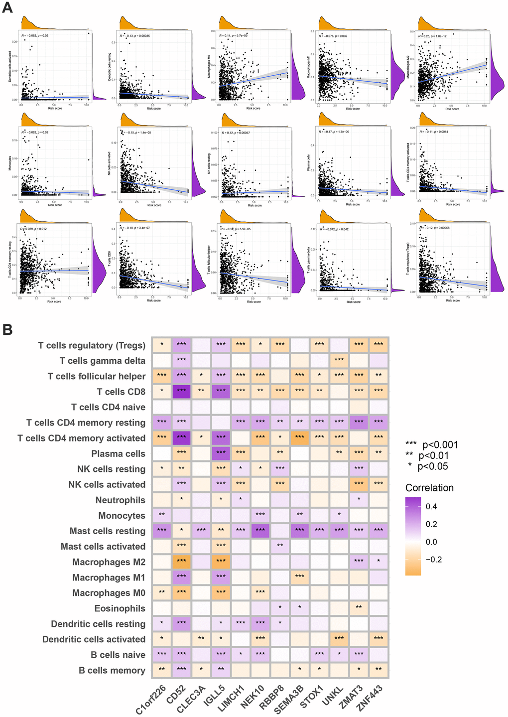 (A) Spearman’s correlation coefficients were computed to investigate the potential relationship between risk score and immune cell infiltration status. (B) Spearman’s correlation coefficients were computed to investigate the potential relationship between immune cells infiltration levels and gene expression levels. Colors from orange to purple indicate the trend of correlation from negative to positive. *P